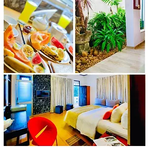 https://hotel-dorset.negombohotels.net